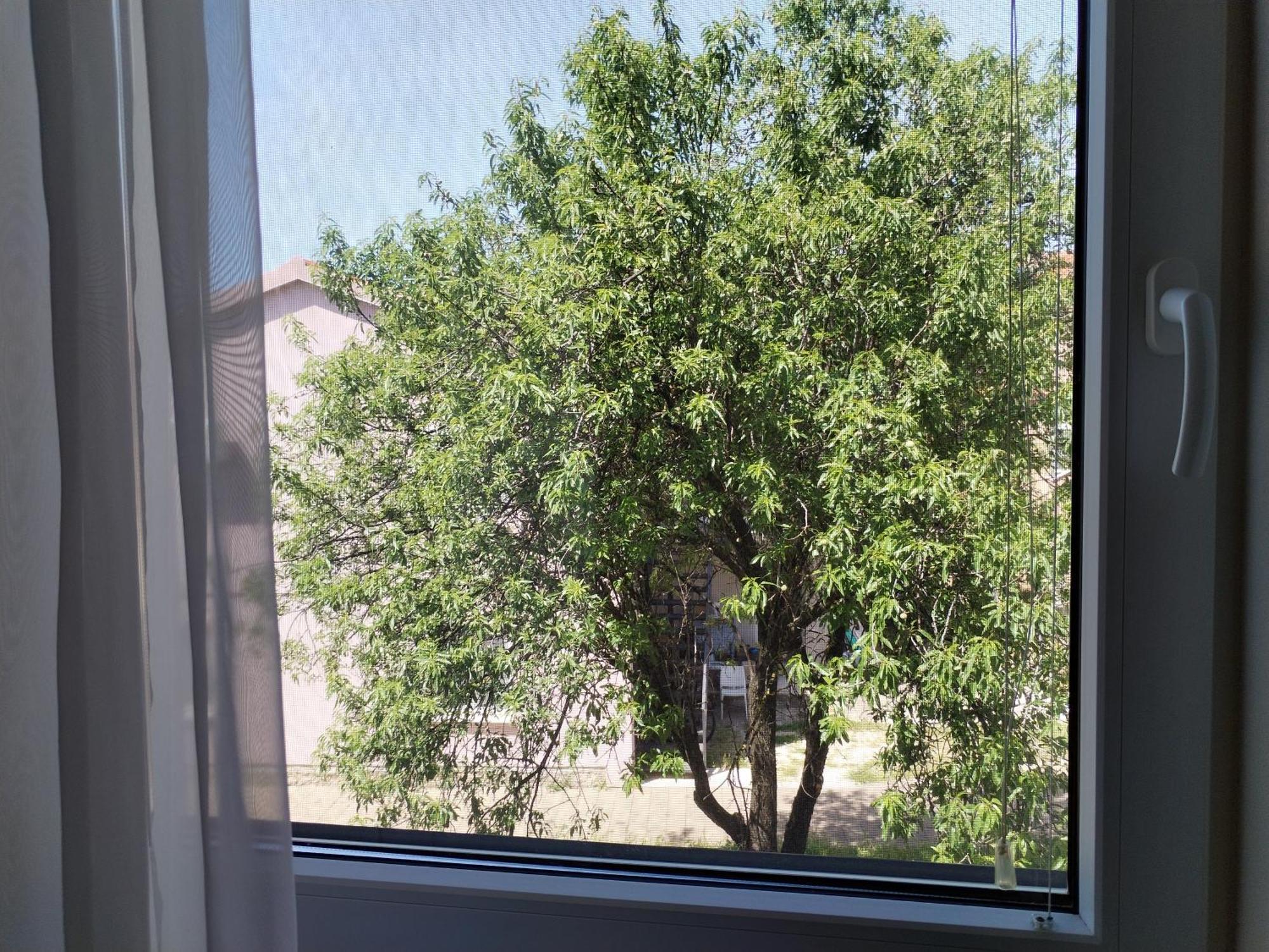 Family Apartment B&B بيوغْغاد نا موغو المظهر الخارجي الصورة