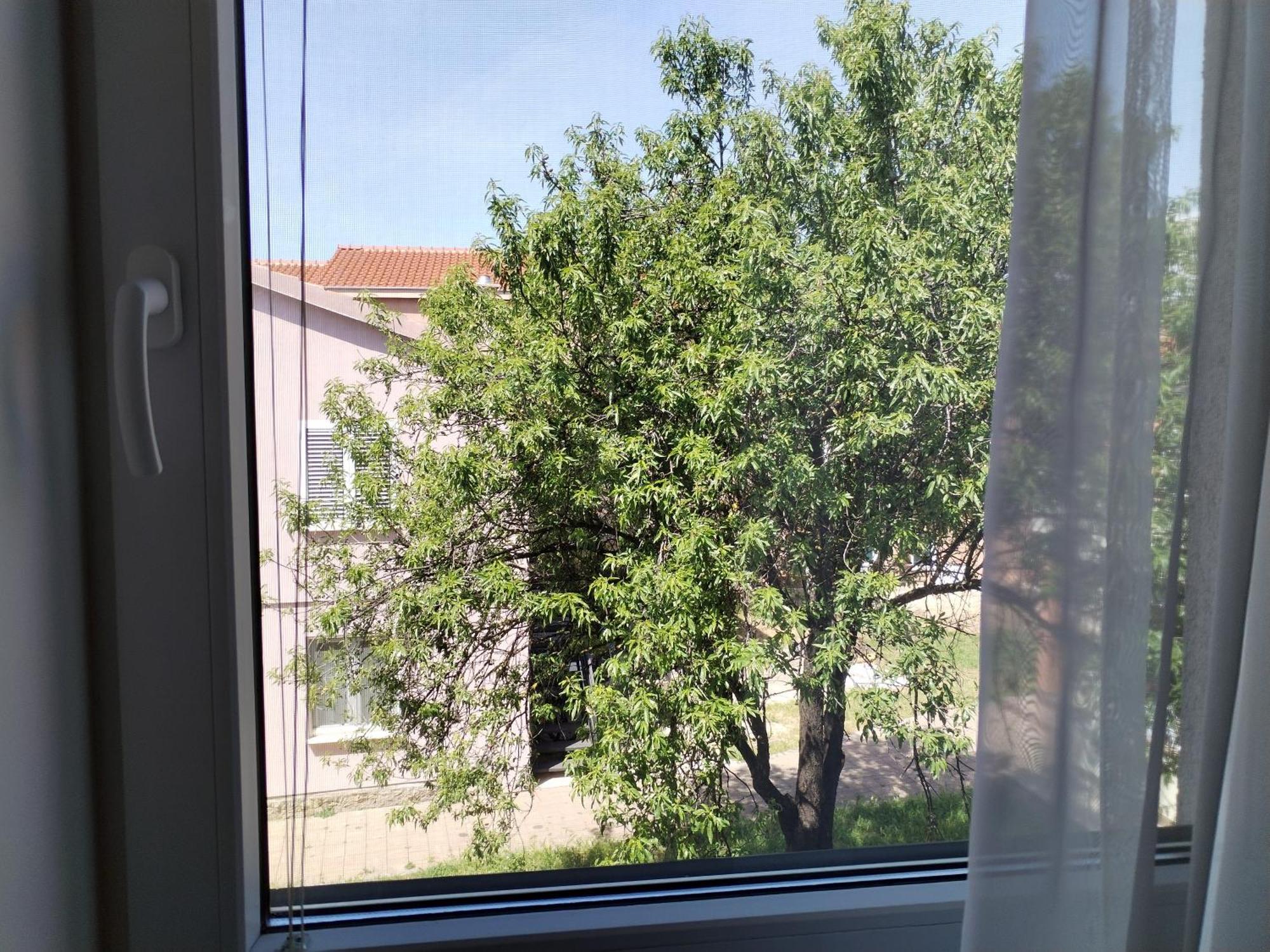 Family Apartment B&B بيوغْغاد نا موغو المظهر الخارجي الصورة